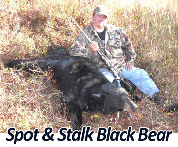 Spot and Stalk Black Bear Hunting