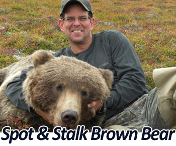 Spot and Stalk Brown Bear Hunting