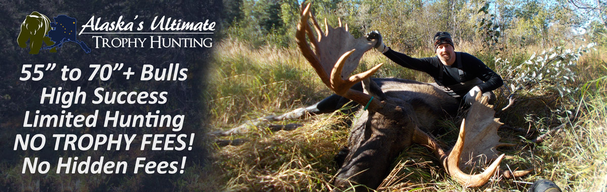 Alaska Moose Hunting