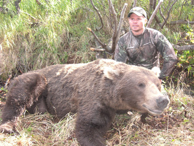 Baited Brown Bear in Alaska