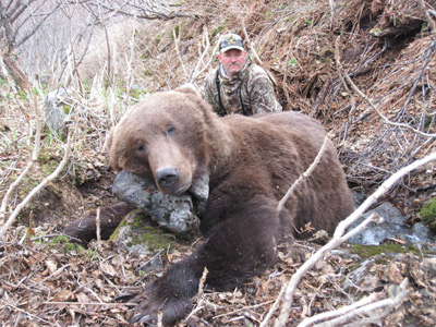 Baited Brown Bear Hunts