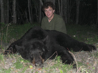 Black Bear on Bait in Alaska