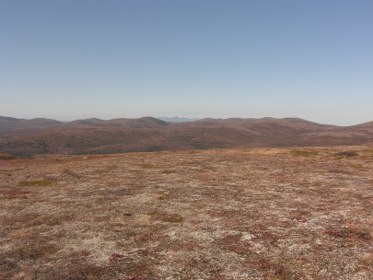 Alaska Black Bear Hunting Terrain